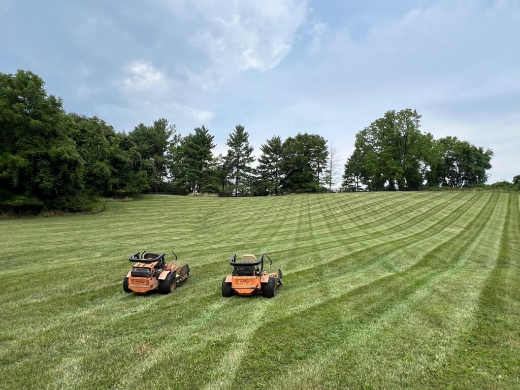 whatsapp image 2025 12 02 at 11.54.53