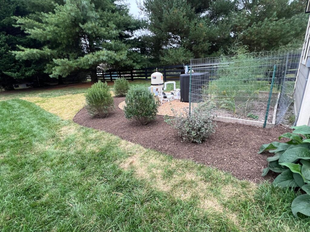 whatsapp image 2025 12 02 at 17.57.45