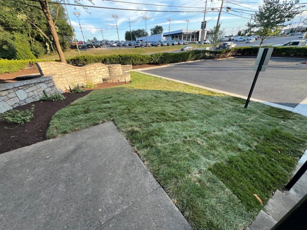 whatsapp image 2025 12 02 at 17.55.11