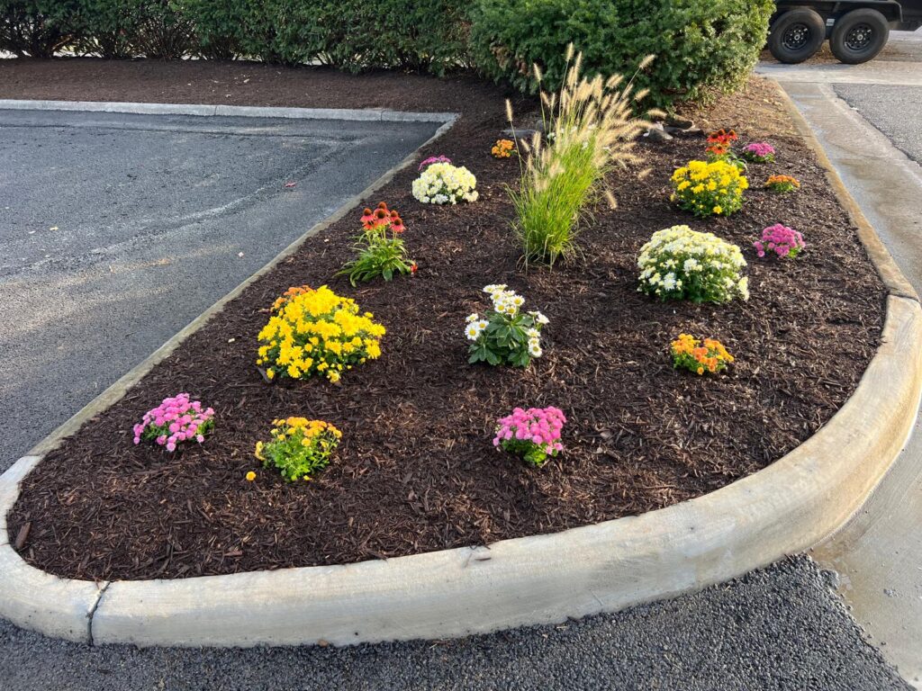 whatsapp image 2025 12 02 at 17.55.13