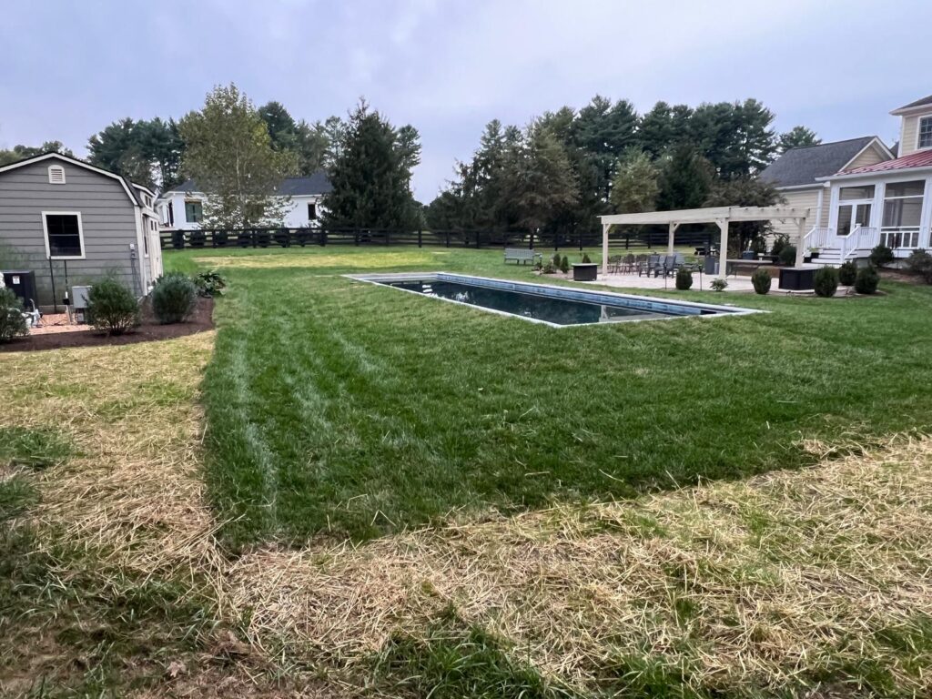 whatsapp image 2025 12 02 at 17.57.39 (2)