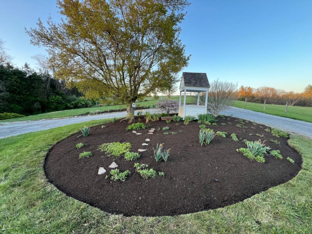 whatsapp image 2025 12 02 at 18.05.41