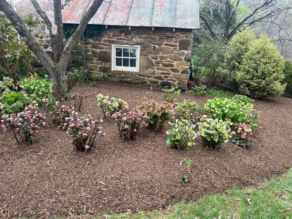 whatsapp image 2025 12 02 at 18.06.27